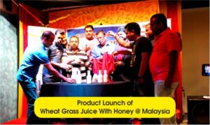 Malaysia_36