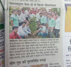 plantation 2